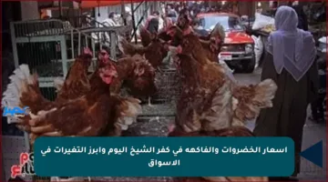 أسعار الخضروات والفاكهة في كفر الشيخ اليوم وأبرز التغيرات في الأسواق